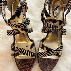 Wild Rose The color is black and natural and is zebra print